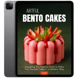 خرید و دانلود نسخه کامل کتاب انگلیسی Artful Bento Cakes 2024