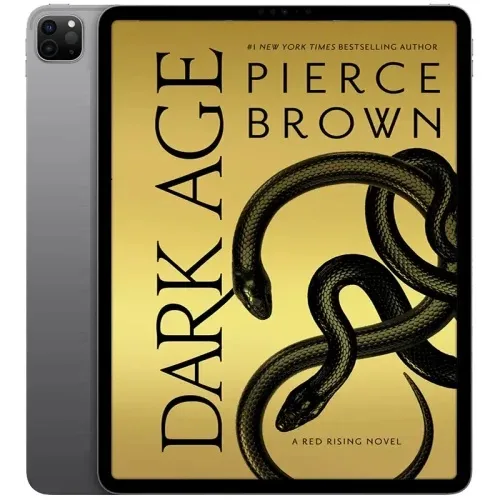 Dark-Age-500x500 خرید و دانلود نسخه کامل کتاب انگلیسی Dark Age 2019 - تصویر 1
