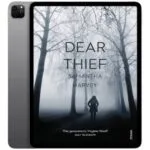 خرید و دانلود نسخه کامل کتاب انگلیسی Dear Thief 2014