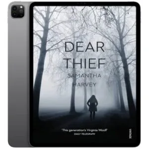 خرید و دانلود نسخه کامل کتاب انگلیسی Dear Thief 2014
