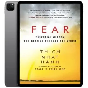 خرید و دانلود نسخه کامل کتاب انگلیسی Fear 2012