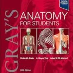 خرید و دانلود فایل کتاب Gray's Anatomy for Students (5th Edition) original pdf | سورنا بوک