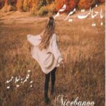 خرید و دانلود نسخه کامل رمان با خیالت می‌رقصم اثر لیلا حمید