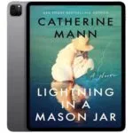 خرید و دانلود نسخه کامل کتاب انگلیسی Lightning in a Mason Jar 2025 | رمان انگلیسی | کتاب انگلیسی