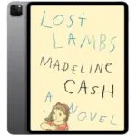 خرید و دانلود نسخه کامل کتاب انگلیسی Lost Lambs 2026
