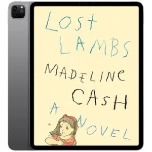 خرید و دانلود نسخه کامل کتاب انگلیسی Lost Lambs 2026