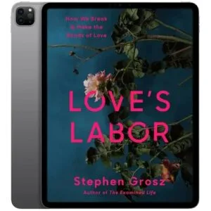 خرید و دانلود نسخه کامل کتاب انگلیسی Love’s Labor 2026