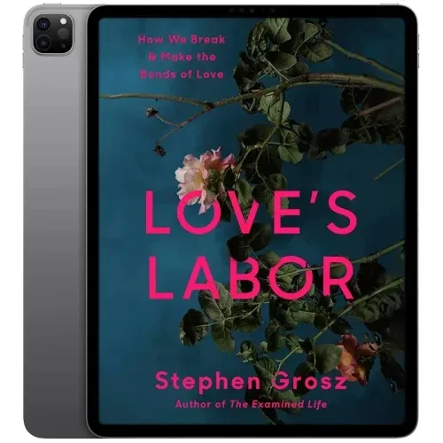 Loves-Labor-500x500 خرید و دانلود نسخه کامل کتاب انگلیسی Love’s Labor 2026 - تصویر 1