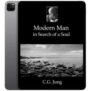 خرید و دانلود نسخه کامل کتاب انگلیسی Modern Man in Search of a Soul 2001