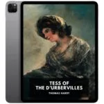 خرید و دانلود نسخه کامل کتاب انگلیسی Tess of the d’Urbervilles 2020