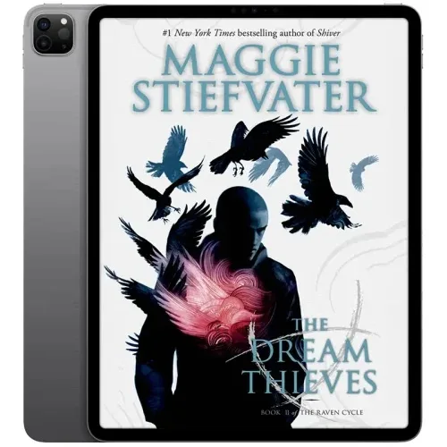 The-Dream-Thieves-500x500 خرید و دانلود نسخه کامل کتاب انگلیسی The Dream Thieves 2013 - تصویر 1