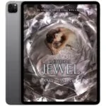 خرید و دانلود نسخه کامل کتاب انگلیسی The Jewel 2014