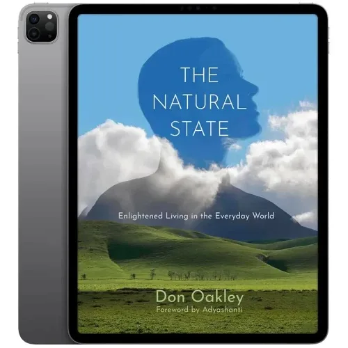 The-Natural-State-500x500 خرید و دانلود نسخه کامل کتاب انگلیسی The Natural State 2025 - تصویر 1