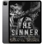 خرید و دانلود نسخه کامل کتاب انگلیسی The Sinner 2022