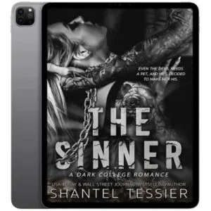 خرید و دانلود نسخه کامل کتاب انگلیسی The Sinner 2022