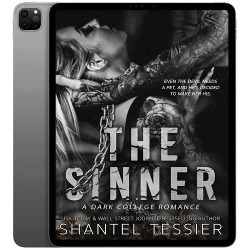 The-Sinner-500x500 خرید و دانلود نسخه کامل کتاب انگلیسی The Sinner 2022 - تصویر 1