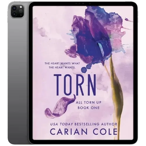 Torn-500x500 خرید و دانلود نسخه کامل کتاب انگلیسی Torn 2016 - تصویر 1