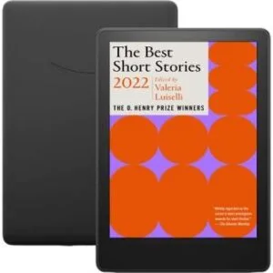 خرید و دانلود نسخه کامل کتاب انگلیسی The Best Short Stories 2022