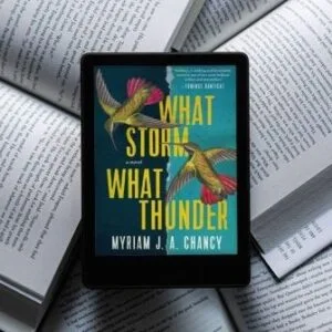 خرید و دانلود نسخه کامل کتاب انگلیسی What Storm What Thunder 2021