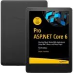 خرید و دانلود نسخه کامل کتاب انگلیسی Pro ASP.NET Core 6 به زبان انگلیسی