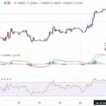 خرید و دانلود اندیکاتور تشخیص واگرایی مثبت و منفی در تریدینگ ویو با نام های MACD and RSI