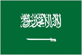خرید و دانلود نسخه کامل تحقیق موانع ساختاری توسعه سیاسی در عربستان سعودی_6a65d1ba49358.jpeg خرید و دانلود نسخه کامل تحقیق موانع ساختاری توسعه سیاسی در عربستان سعودی - تصویر 1
