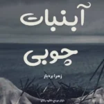 خرید و دانلود نسخه کامل رمان
 آبنبات چوبی اثر زهرا بردبار