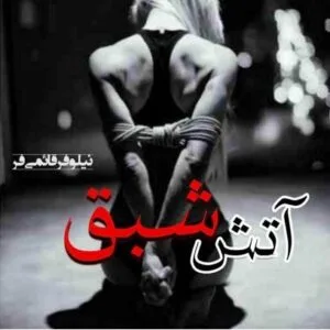 خرید و دانلود نسخه کامل رمان  آتش شبق اثر نیلوفر قائمی فر