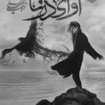 خرید و دانلود نسخه کامل رمان
 آوای درنا اثر زینب ایلخانی