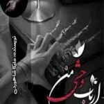 خرید و دانلود نسخه کامل رمان
 ارباب وحشی من اثر ملیکا شاهوردی