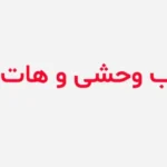 خرید و دانلود نسخه کامل رمان ارباب وحشی و هات من ( جلد دوم)