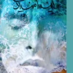 خرید و دانلود نسخه کامل رمان
 از هیچ تا بی‌نهایت اثر منیر کاظمی