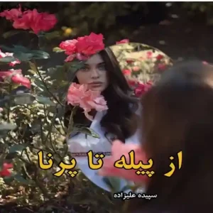 خرید و دانلود نسخه کامل رمان
 از پیله تا پرنا اثر سپیده علیزاده