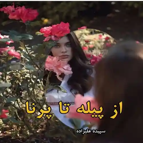 خرید و دانلود نسخه کامل رمان
از پیله تا پرنا اثر سپیده علیزاده_6a5d8ecc4d000.webp خرید و دانلود نسخه کامل رمان
از پیله تا پرنا اثر سپیده علیزاده - تصویر 1