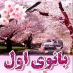 خرید و دانلود نسخه کامل رمان
 بانوی اول اثر سوزان الیزابت فیلیپس