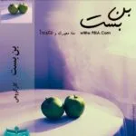 خرید و دانلود نسخه کامل رمان
 بن بست اثر منا معیری