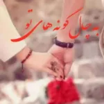 خرید و دانلود نسخه کامل رمان
 به چال گونه های تو اثر صفورا اندیشمند