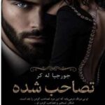 خرید و دانلود نسخه کامل رمان
 تصاحب شده جلداول بانکدار میلیاردر | جورجیا له کر