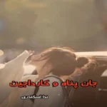 خرید و دانلود نسخه کامل رمان
 جان پناه و کارداجین جلد اول و دوم ندا اسکندری