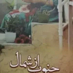 خرید و دانلود نسخه کامل رمان جنوب از شمال اثر بهاره حسنی