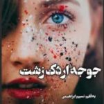 خرید و دانلود نسخه کامل رمان
 جوجه اردک زشت اثر نسیم ابراهیمی