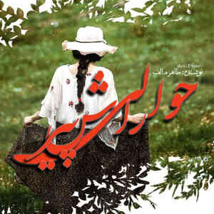 خرید و دانلود نسخه کامل رمان
 حوالی راش پیر اثر طاهره آرموئیان