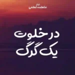 خرید و دانلود نسخه کامل رمان
 در خلوت یک گرگ اثر فاطمه لطفی