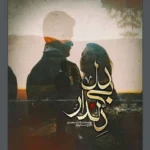 خرید و دانلود نسخه کامل رمان
 دلدار بی دل اثر فائزه سعیدی