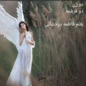 خرید و دانلود نسخه کامل رمان
 دو زن دو فرشته اثر فاطمه درخشانی