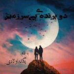 خرید و دانلود نسخه کامل رمان
 دو پرنده بی سرزمین جلد اول اثر یگانه اولادی