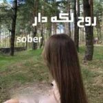 خرید و دانلود نسخه کامل رمان
 روح لکه دار جلد پنجم هیچکسان اثر sober