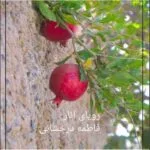 خرید و دانلود نسخه کامل رمان
 رویای انار اثر فاطمه درخشانی