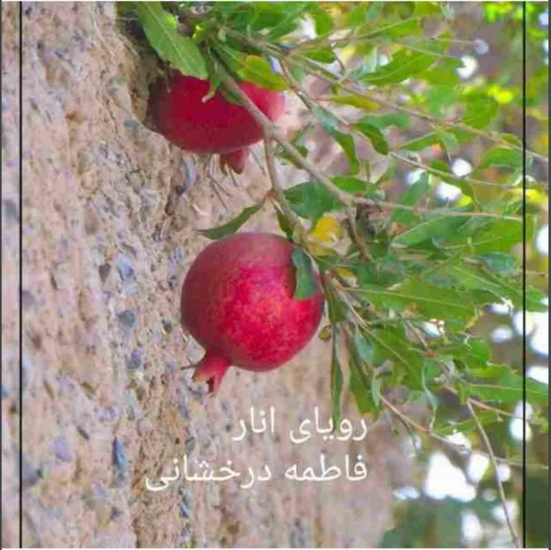 خرید و دانلود نسخه کامل رمان
رویای انار اثر فاطمه درخشانی_6a5c6aa3d17d4.jpeg خرید و دانلود نسخه کامل رمان
رویای انار اثر فاطمه درخشانی - تصویر 1