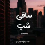 خرید و دانلود نسخه کامل رمان
 ساقی شب اثر نیلا محمدی
